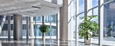 Mein alternativer Text